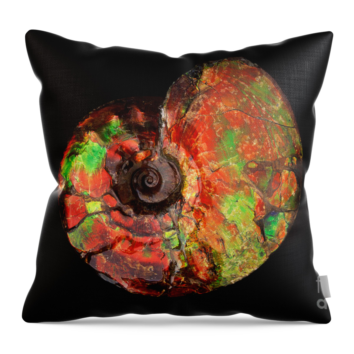 Ammonite Throw Pillow featuring the photograph Ammonite Fossil by Francois Gohier and Photo Researchers