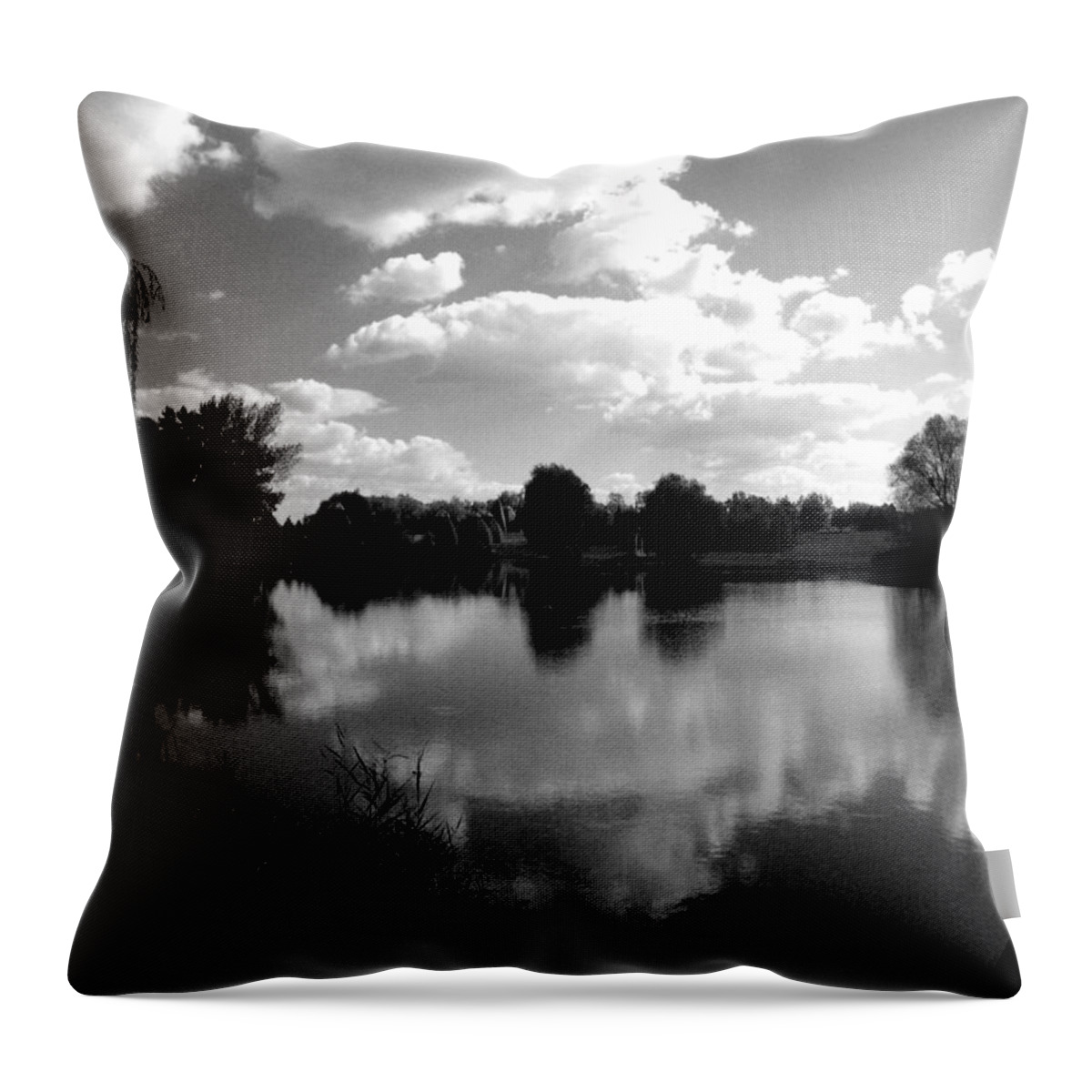 Choice Throw Pillow featuring the photograph An Inner Choice by Mimulux Patricia No