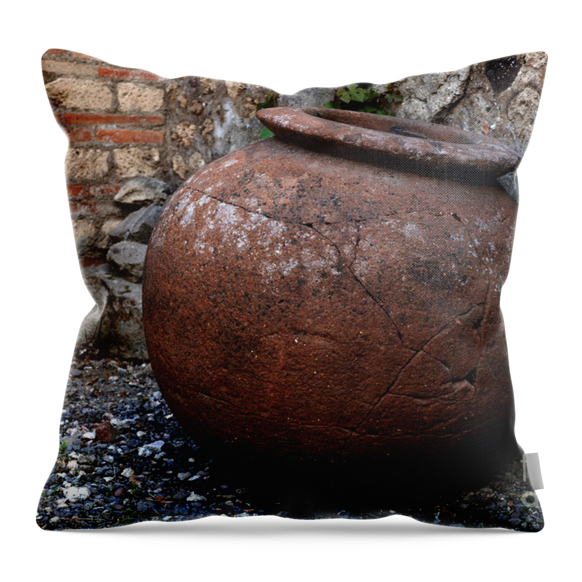 Pompeii Throw Pillow featuring the photograph Ancient Relics Of Pompeii by Bob Christopher