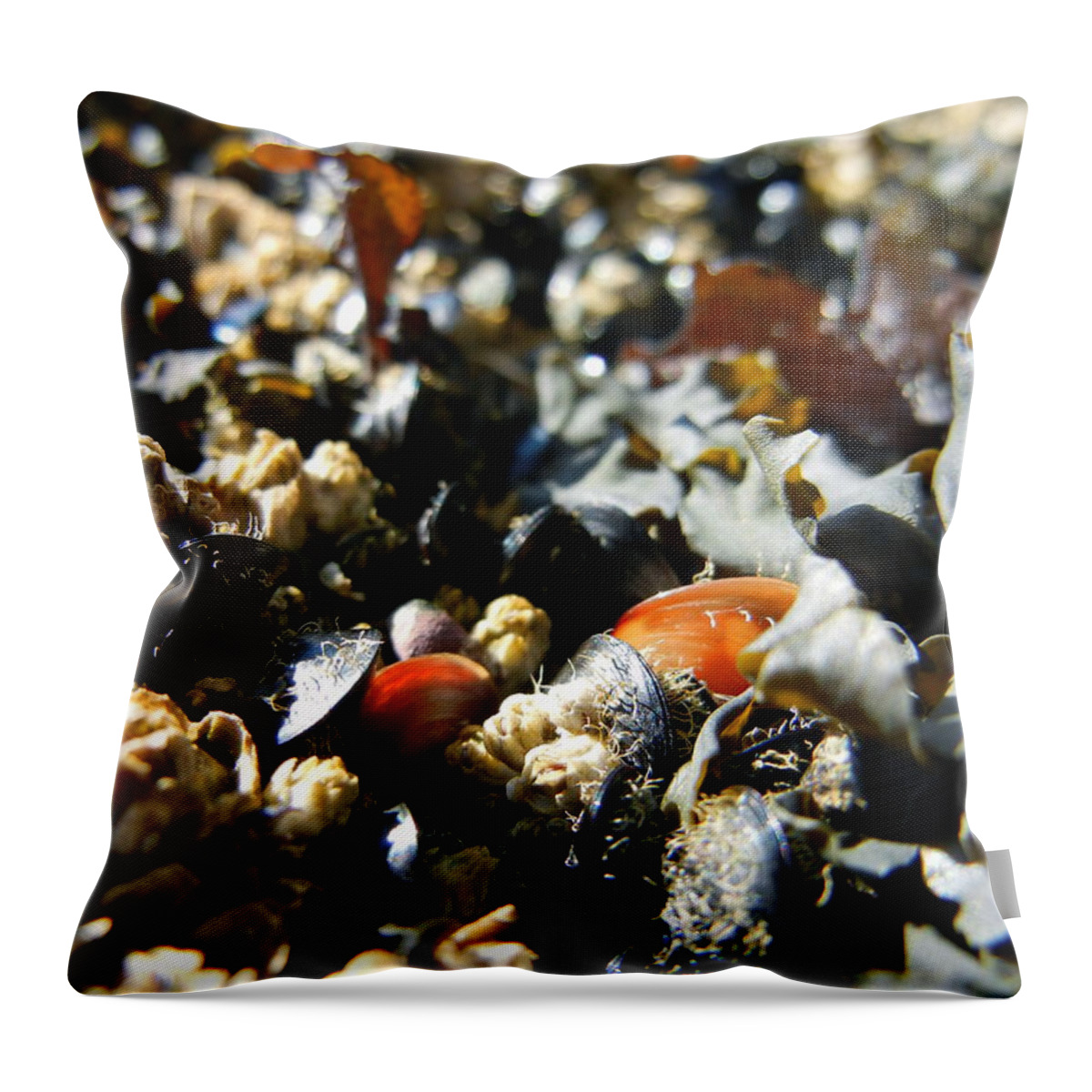 Ocean Throw Pillow featuring the photograph And Cockle Shells by KD Johnson