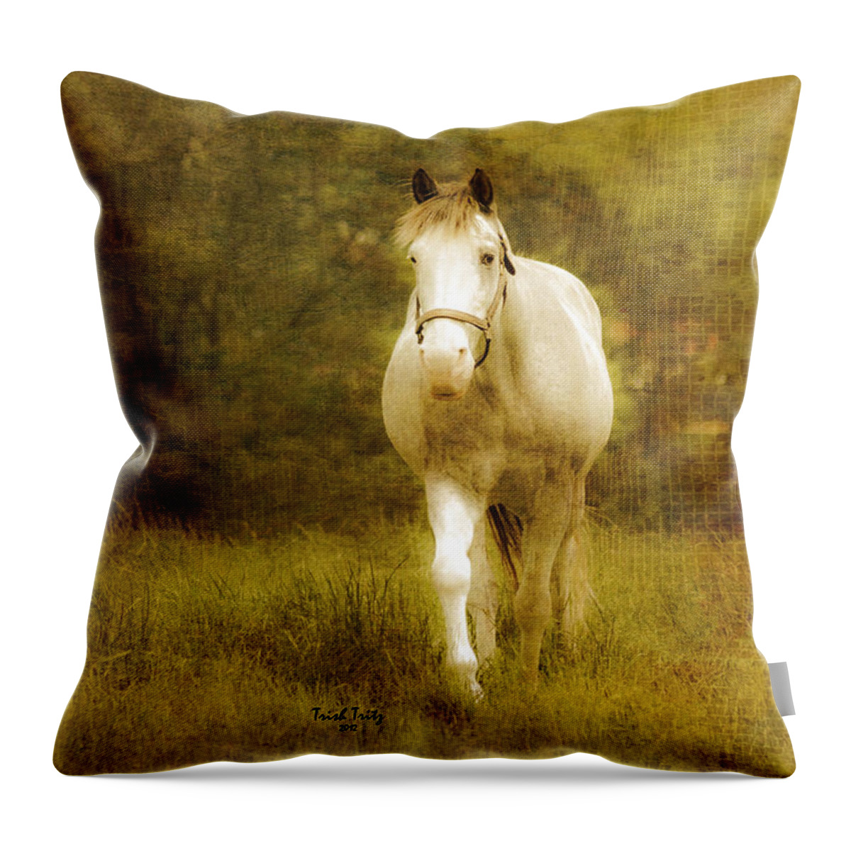 Horse Throw Pillow featuring the photograph Andre On The Farm by Trish Tritz