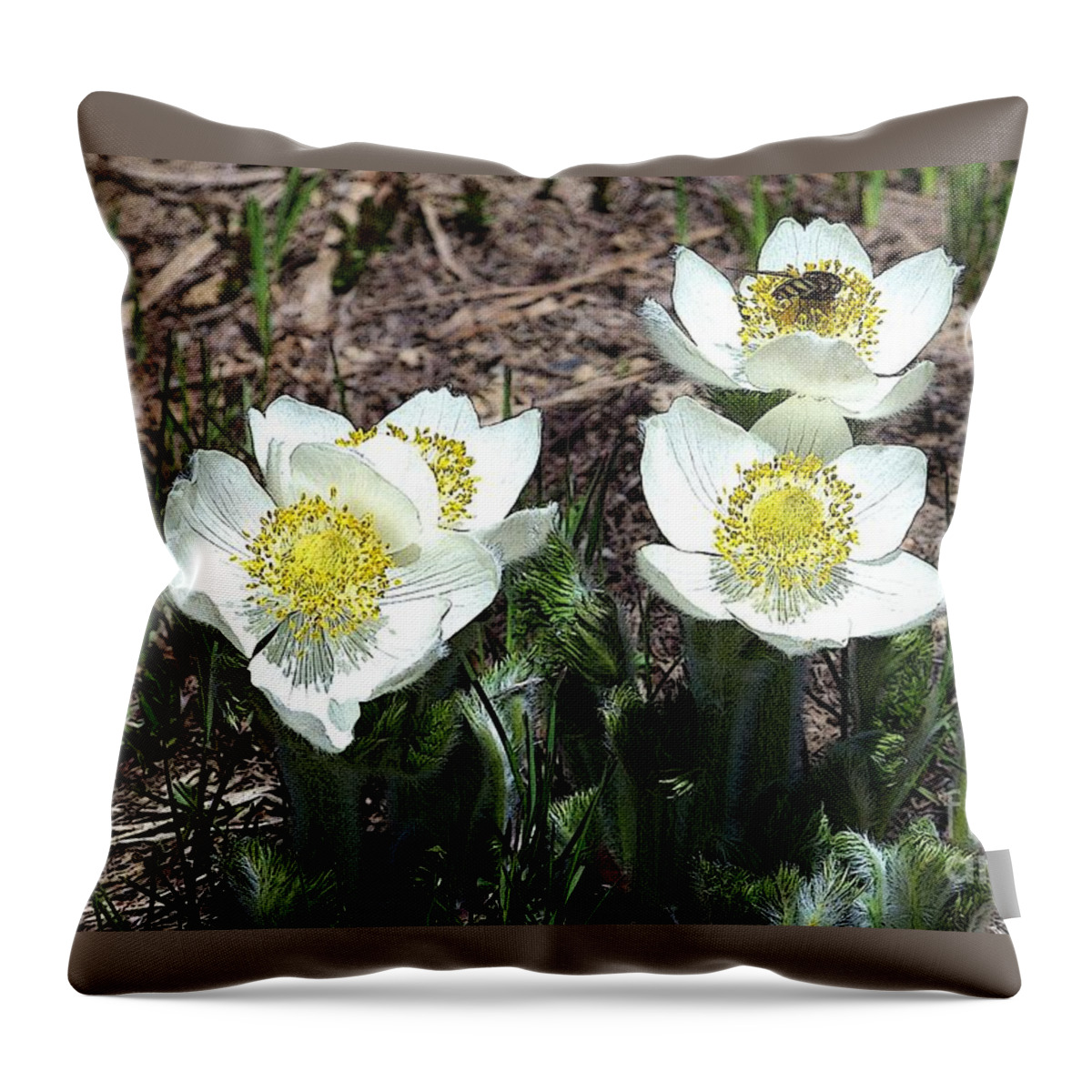 Anemone Throw Pillow featuring the photograph Anemone and Bee by Charles Robinson
