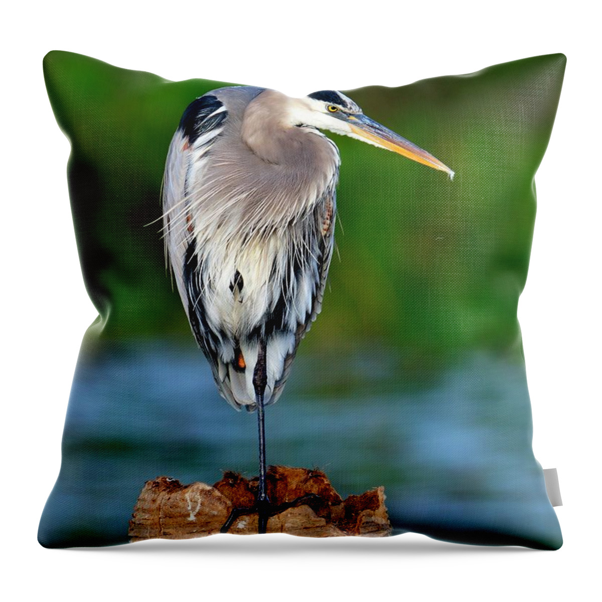 Heron Throw Pillow featuring the photograph Angry Bird by Bill Dodsworth