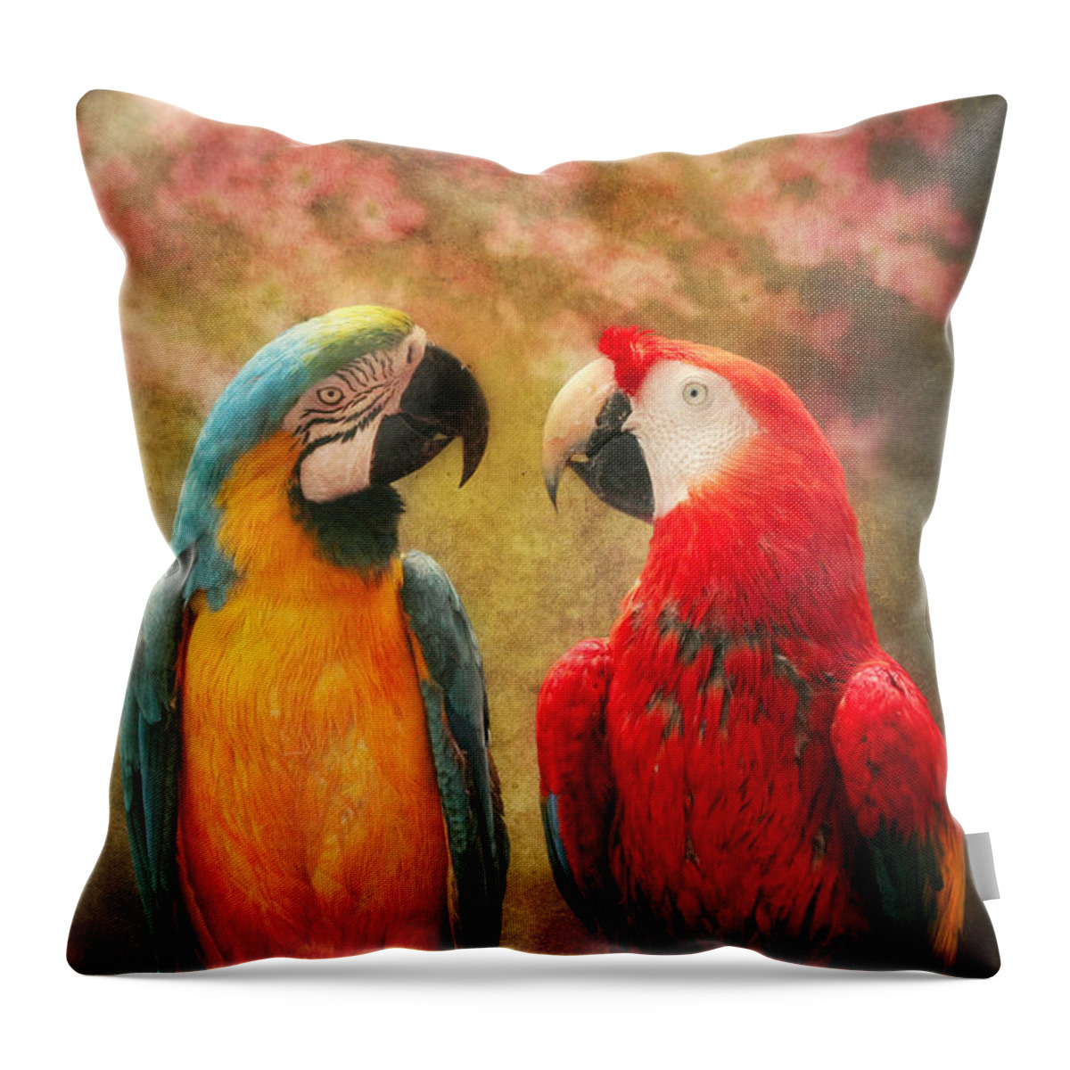 Parrot Throw Pillow featuring the photograph Animal - Parrot - We'll always have parrots by Mike Savad