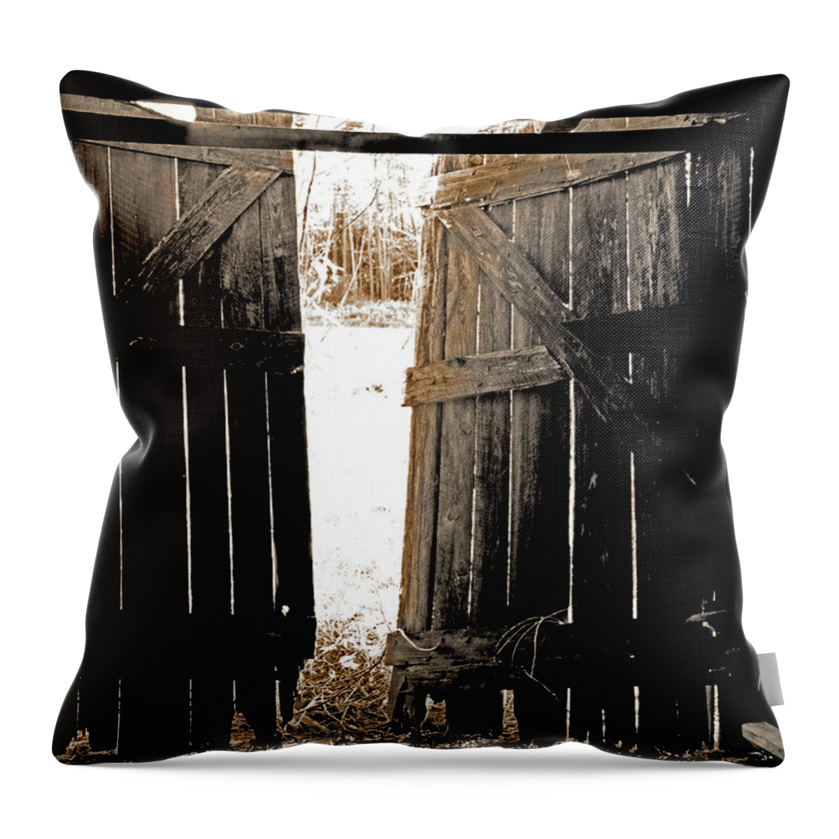 Country Throw Pillow featuring the photograph Antique Door by La Dolce Vita