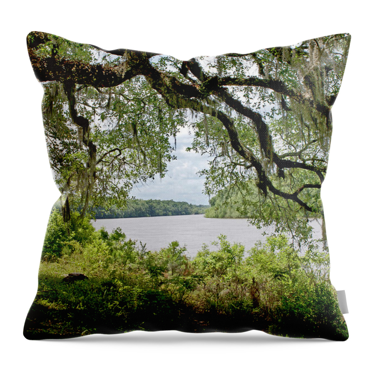 Apalachicola Throw Pillow featuring the photograph Apalachicola River by Paul Mashburn