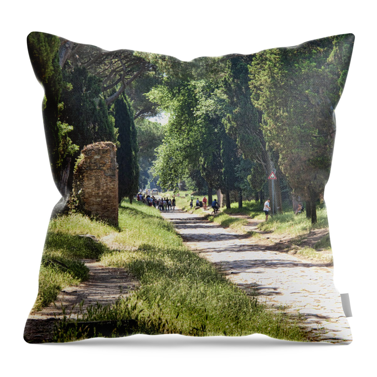 Roman Road Throw Pillow featuring the photograph Appian Way in Rome by David Smith