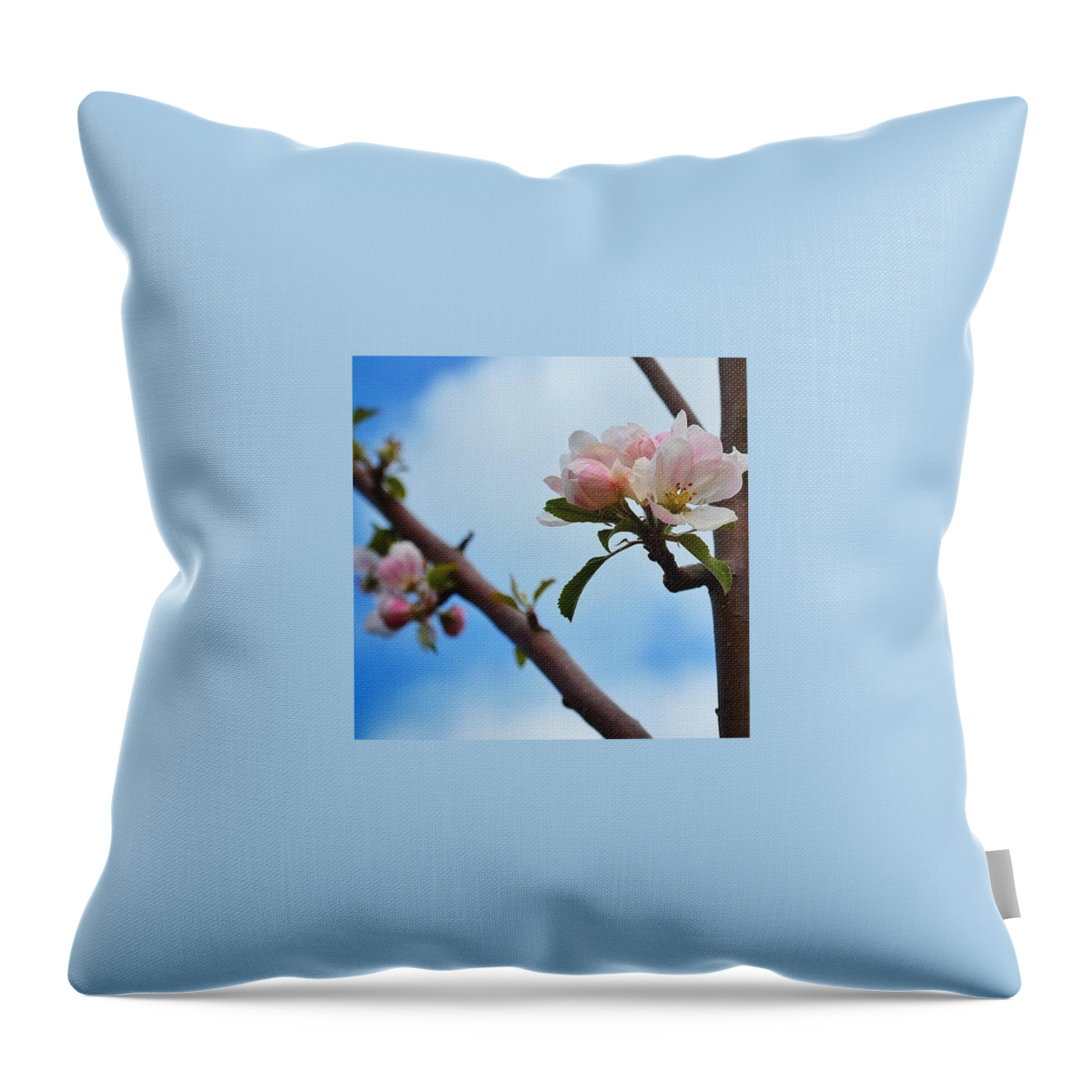 Instaaaaah Throw Pillow featuring the photograph Apple Blossom In The Sky by Silva Halo