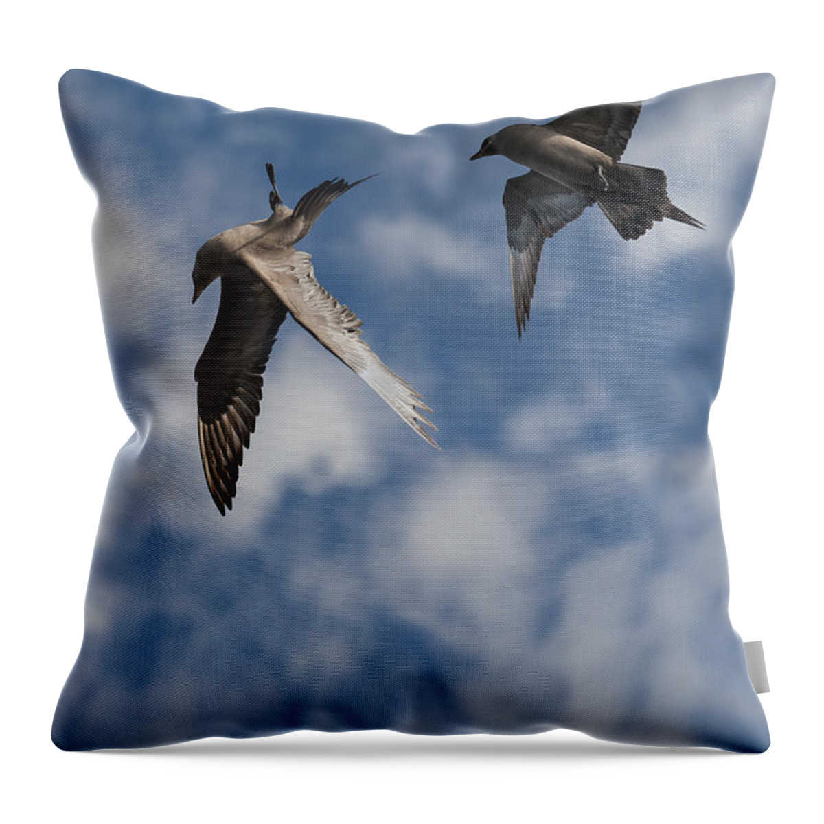 Sea Bird Throw Pillow featuring the photograph Arctic Skuas by Andy Astbury