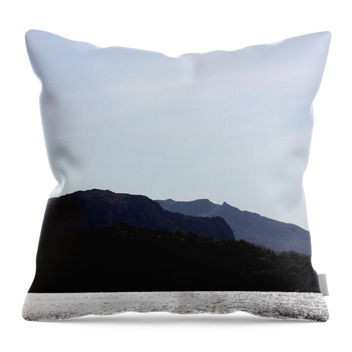 Sagouro Throw Pillow featuring the photograph Arizona Landscape by Kim Galluzzo