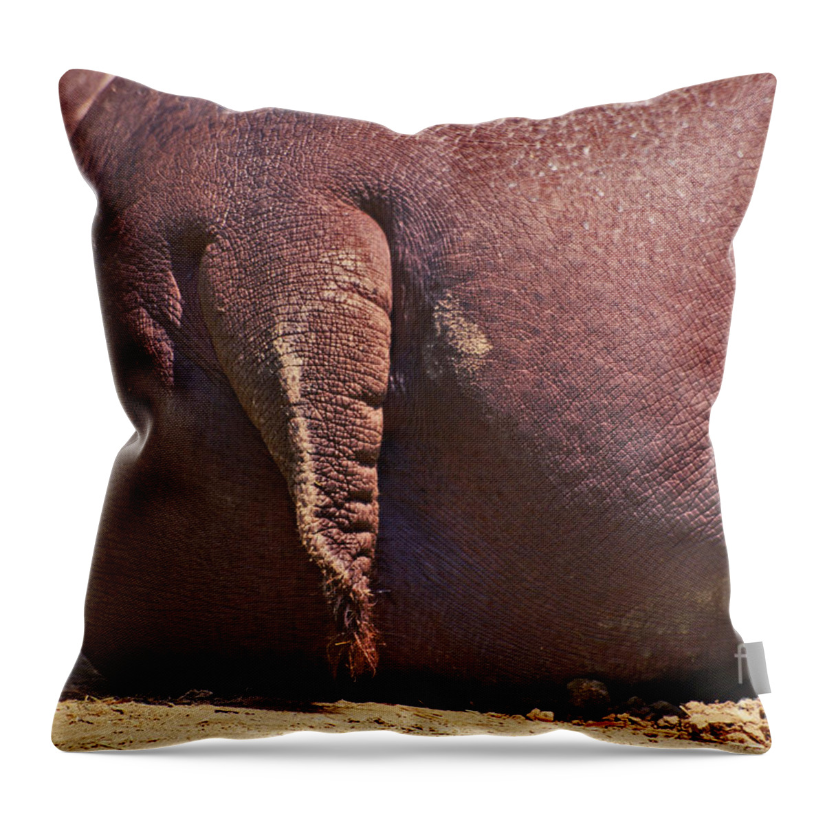 Rhinoceros Throw Pillow featuring the photograph Arriere-Train by Aimelle Ml