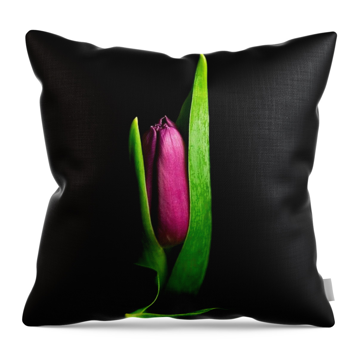 Tulip Throw Pillow featuring the photograph Artsy Tulip by Elsa Santoro