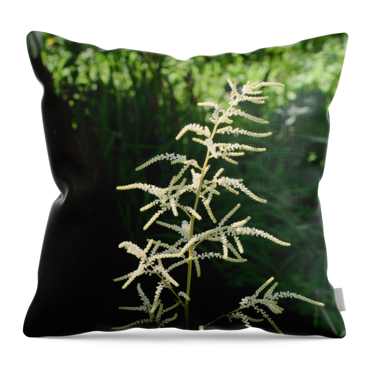 Close-up Throw Pillow featuring the photograph Aruncus by Michael Goyberg