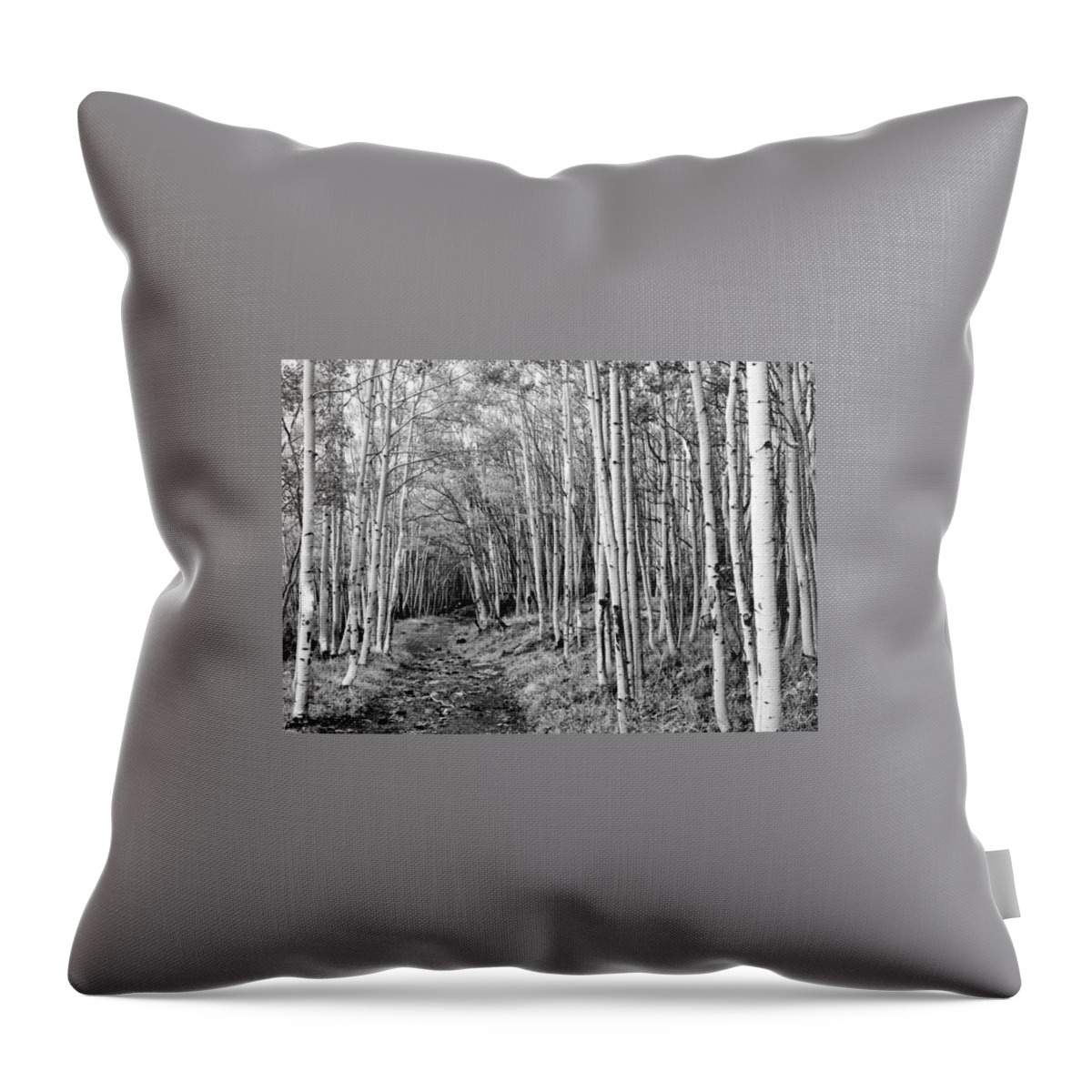 Aspen Throw Pillow featuring the photograph Aspen Forest by Farol Tomson