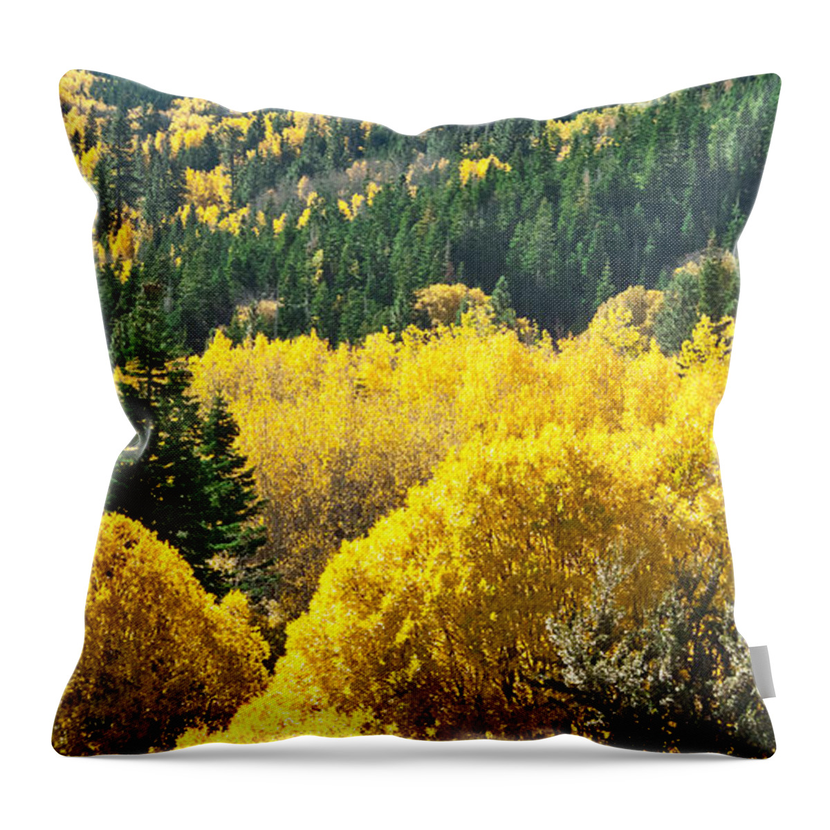 Aspen Throw Pillow featuring the photograph Aspen Hunt by L J Oakes