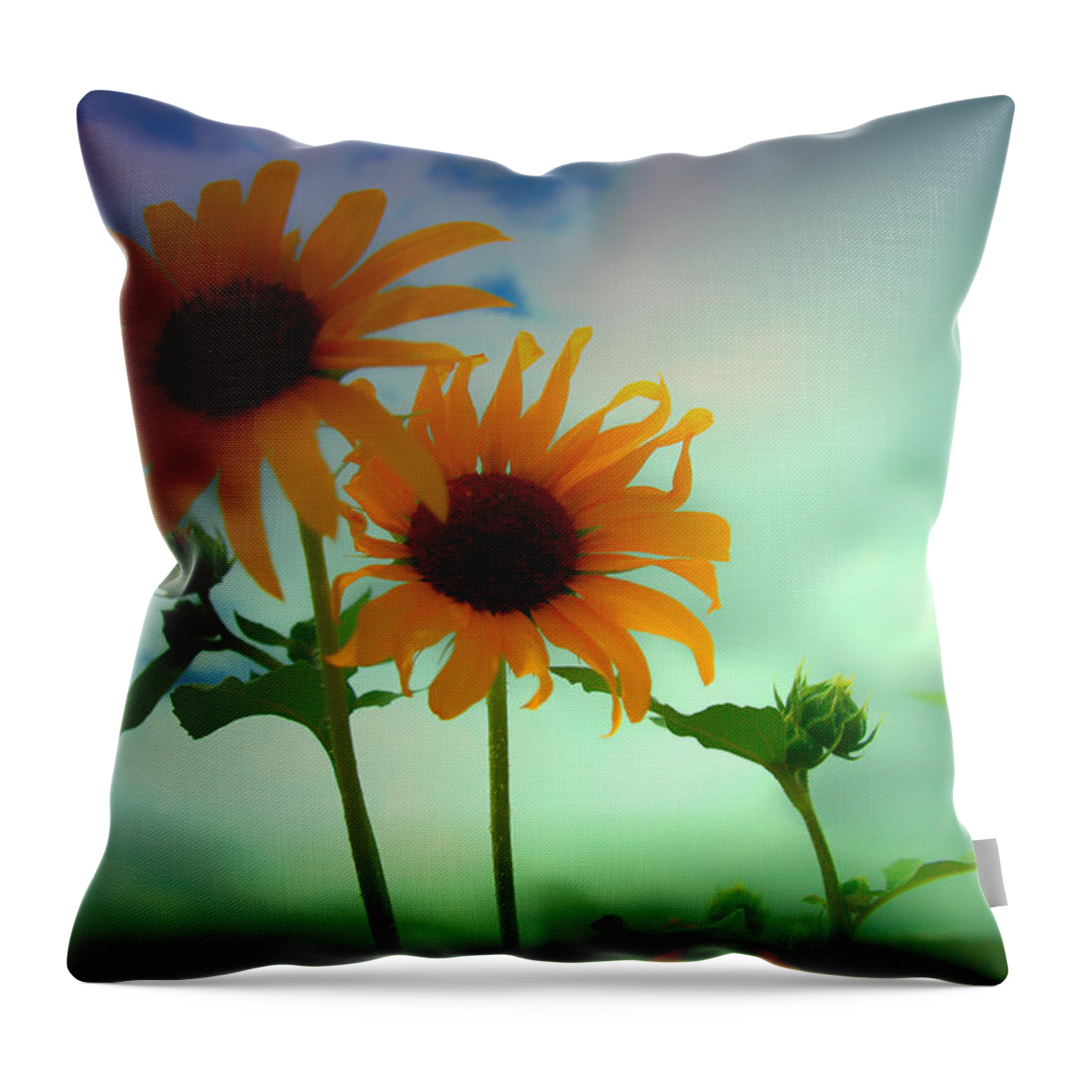 Sunflower Throw Pillow featuring the photograph Asphalt Lemonade by Mark Ross