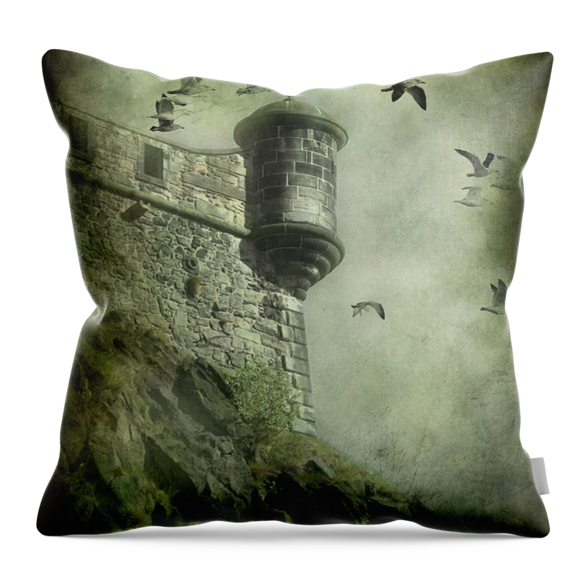 Abandoned Throw Pillow featuring the digital art At the Top by Svetlana Sewell