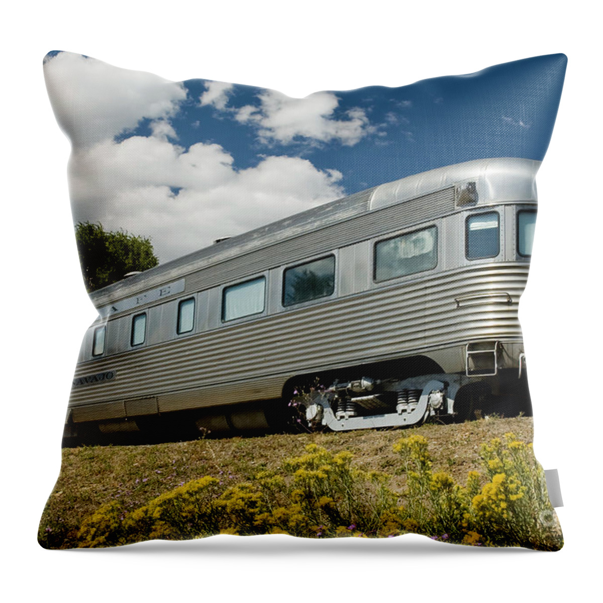 Atsf Throw Pillow featuring the photograph ATSF Train and Flowers by Tim Mulina