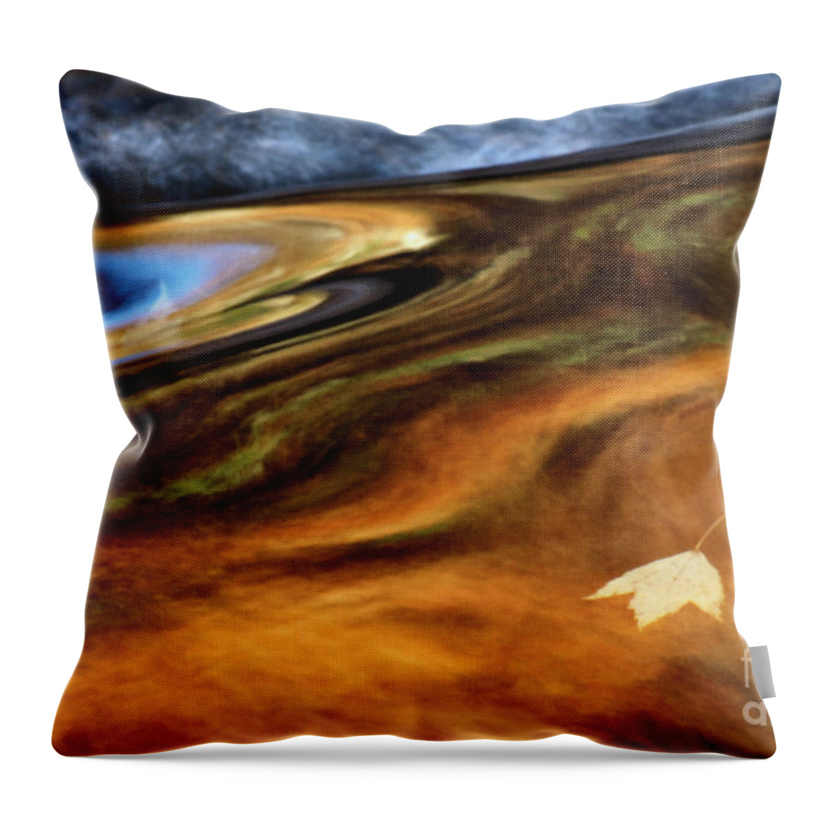 Abstract Throw Pillow featuring the photograph Autumn - D004549 by Daniel Dempster
