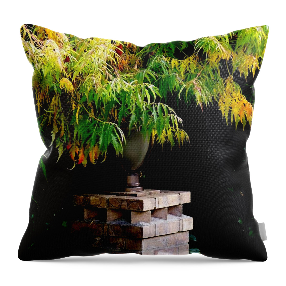 Autumn Throw Pillow featuring the photograph Autumn 2 by Tatyana Searcy