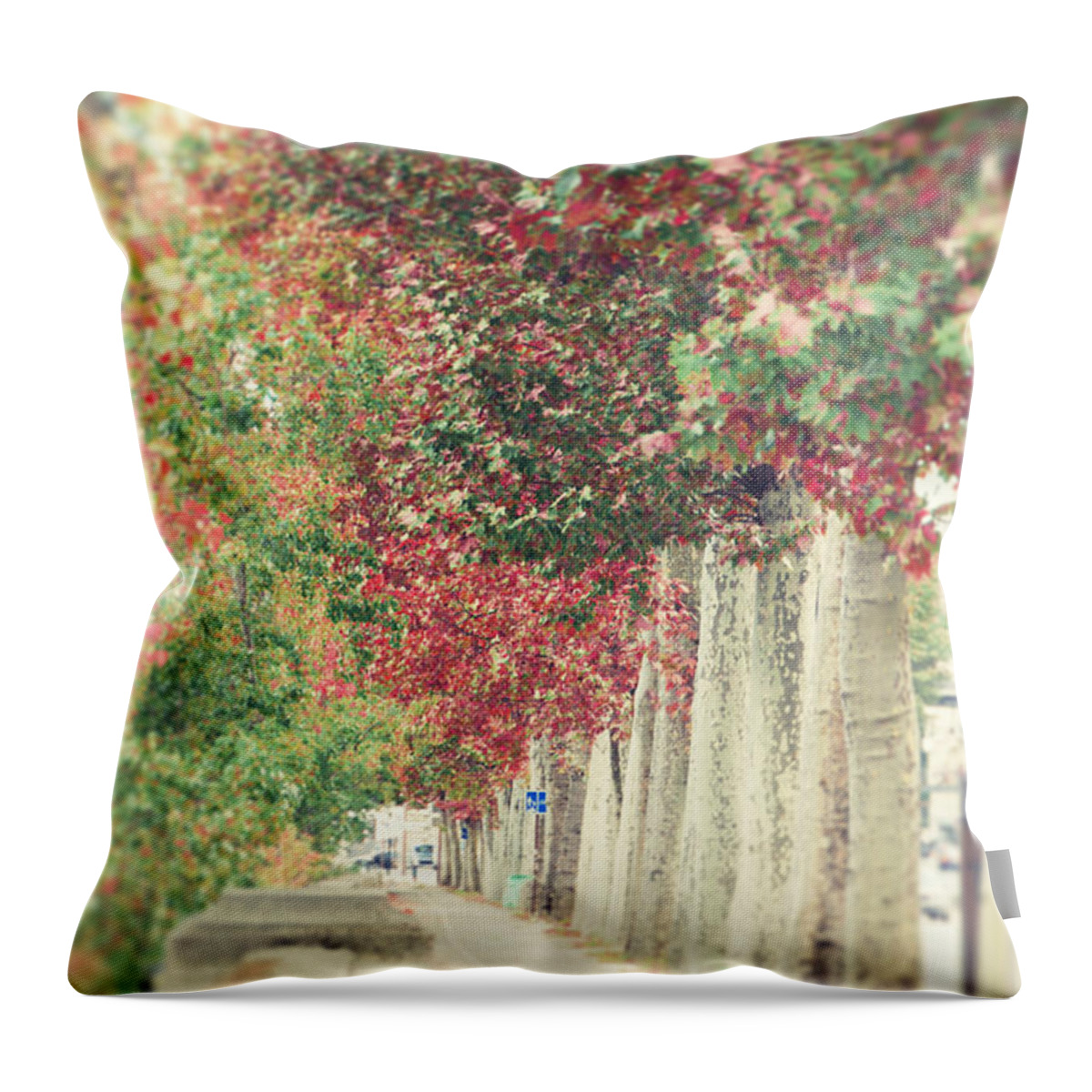 Autumn Fall Decor Throw Pillow featuring the photograph Autumn and Fall by Ivy Ho