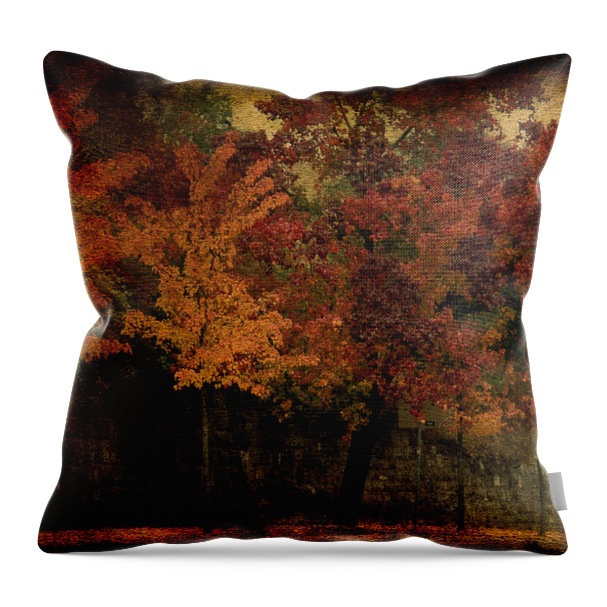 Autumn Throw Pillow featuring the photograph Autumn At The Hill School by Trish Tritz