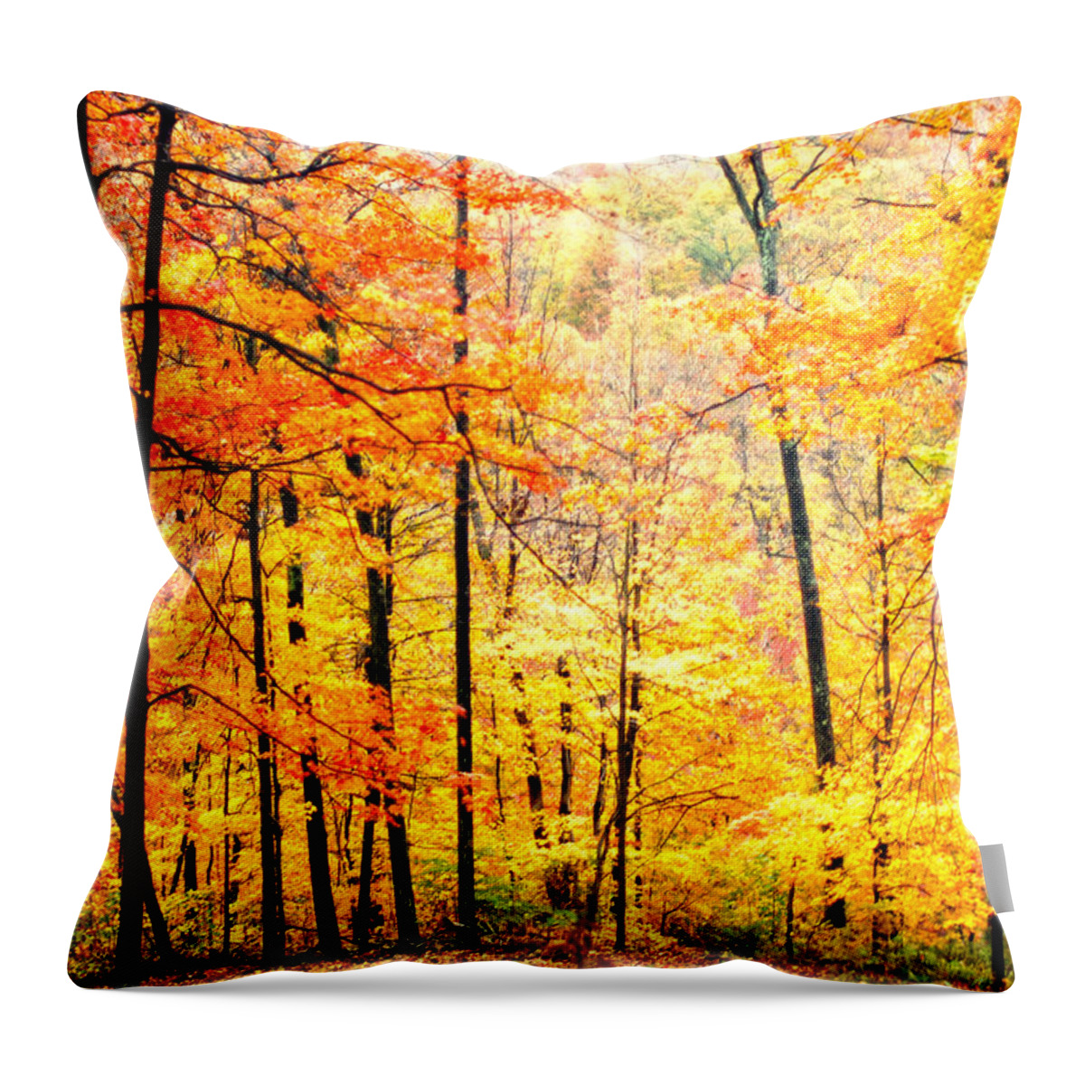 Autumn Throw Pillow featuring the photograph Autumn Forest by Randall Branham