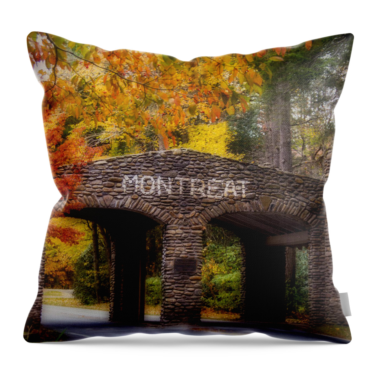 Asheville Throw Pillow featuring the photograph Autumn Gate by Joye Ardyn Durham