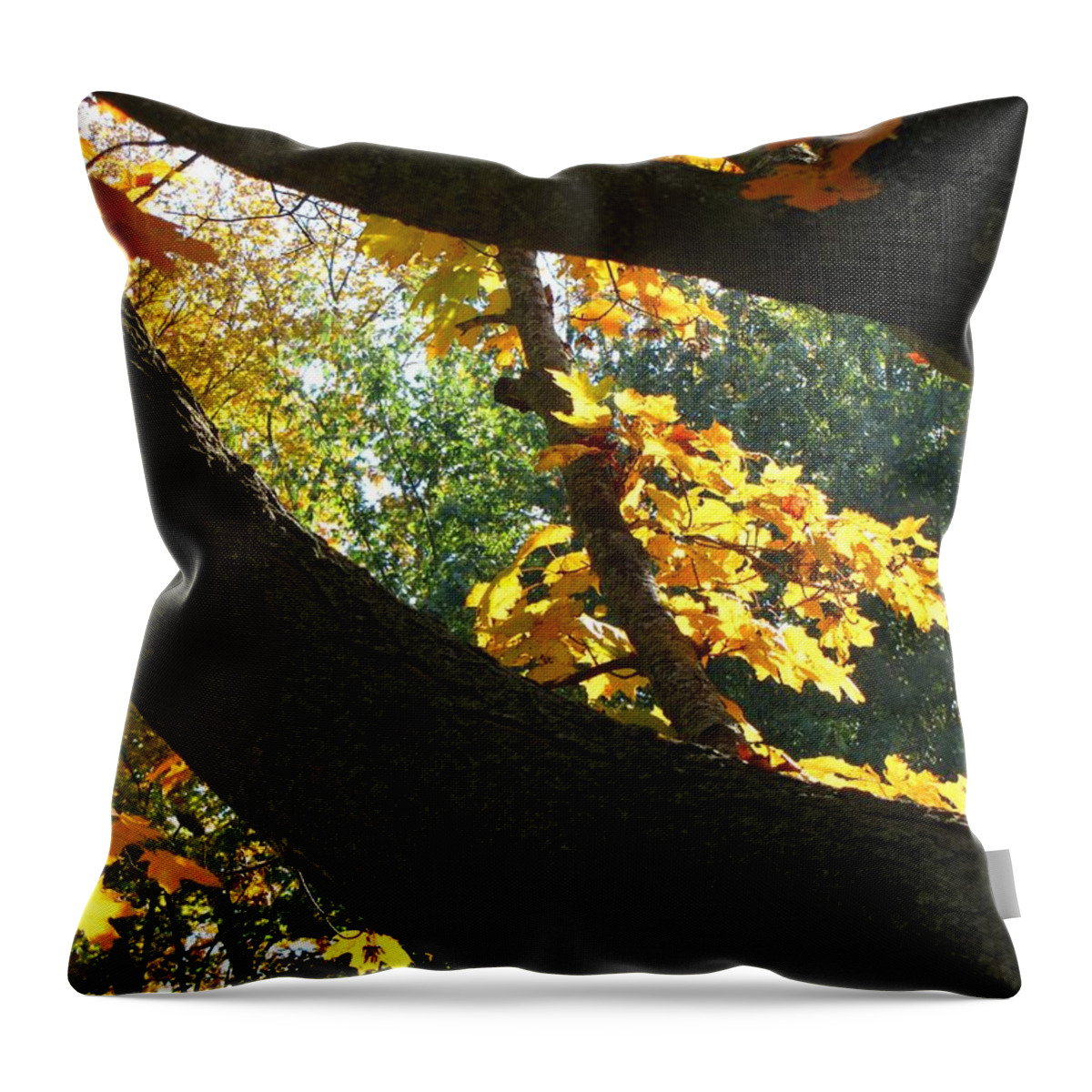 Autumn Throw Pillow featuring the photograph Autumn in London 7916 by Maciek Froncisz