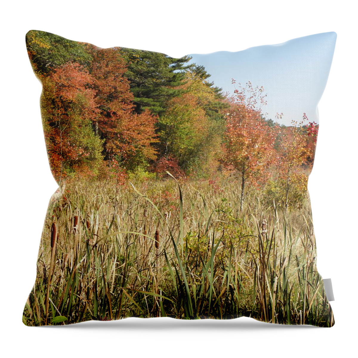 Autumn Throw Pillow featuring the photograph Autumn in New England by Kim Galluzzo