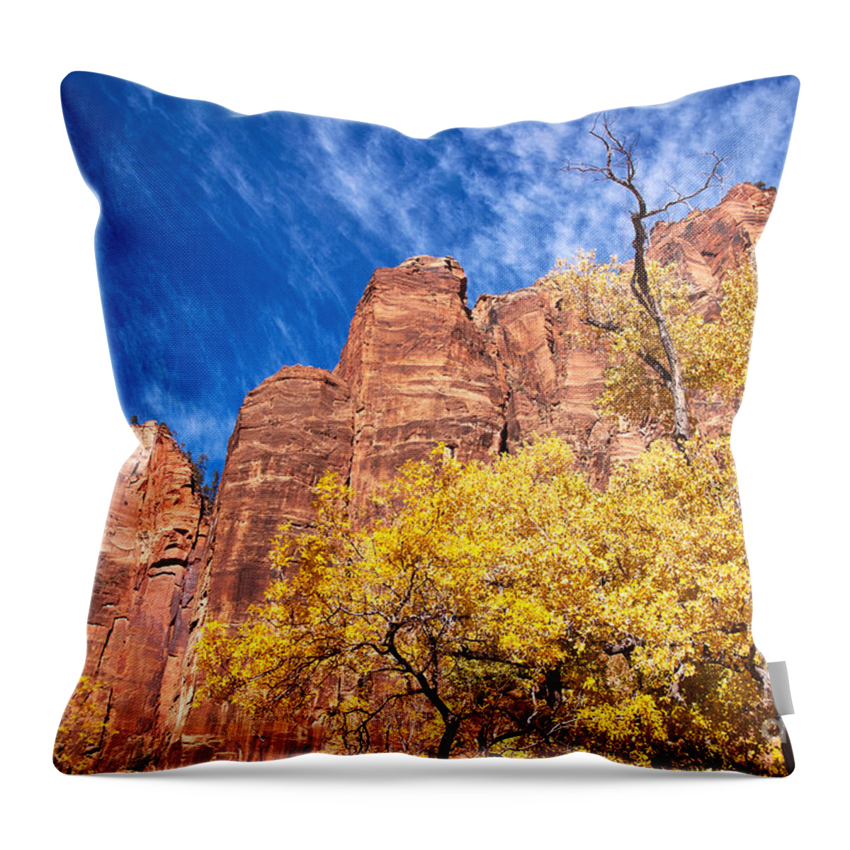 Autumn Throw Pillow featuring the photograph Autumn in Zion by Bob and Nancy Kendrick