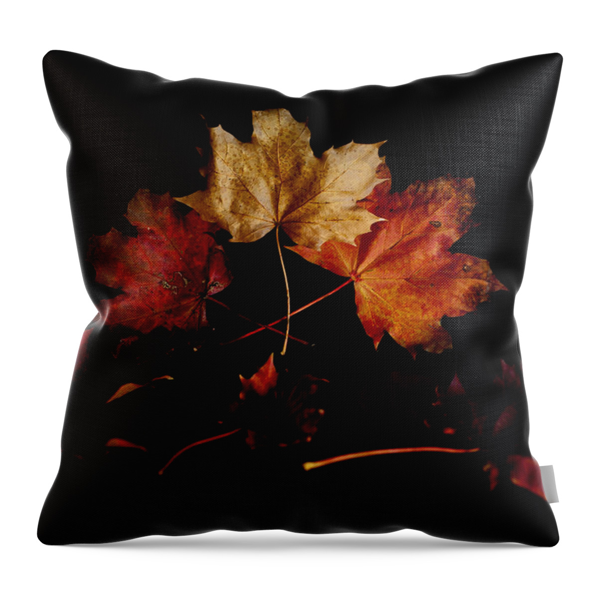 Autumn Throw Pillow featuring the photograph Autumn Leaves by B Cash