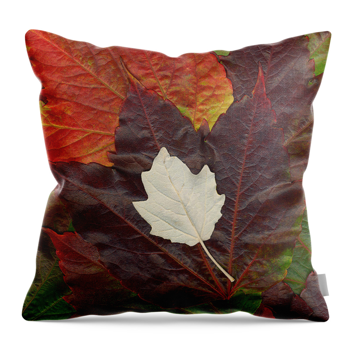 Autumn Throw Pillow featuring the photograph Autumn Leaves by Eggers Photography