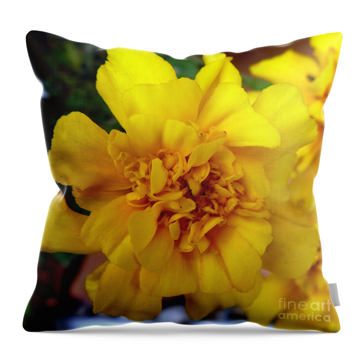 Autumn Throw Pillow featuring the photograph Autumn Marigold 2 by Alys Caviness-Gober