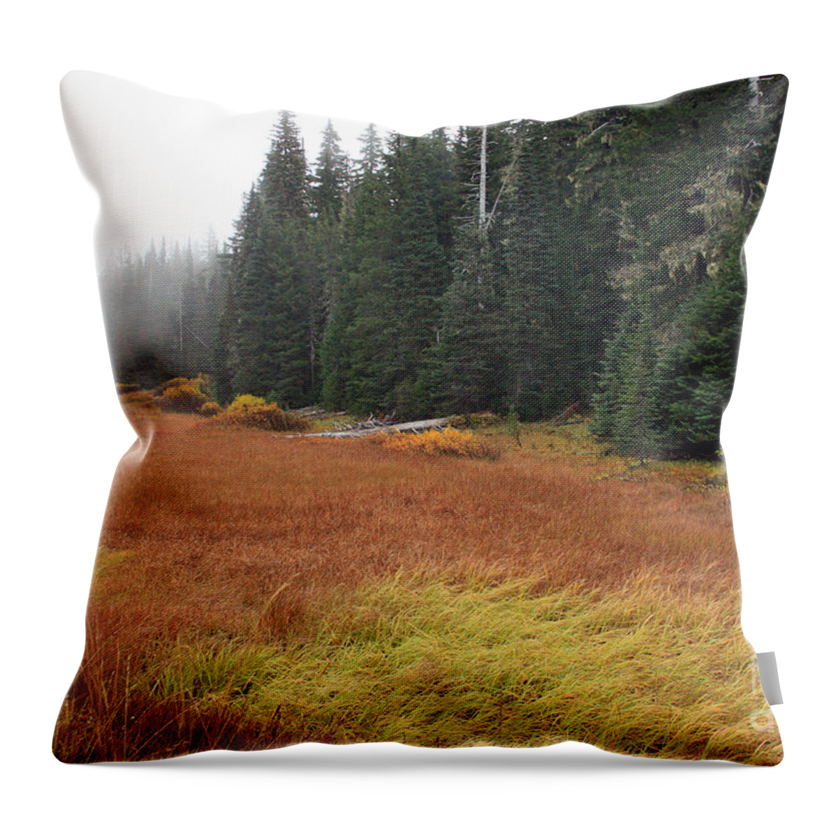 Meadow Throw Pillow featuring the photograph Autumn Meadow by Kami McKeon