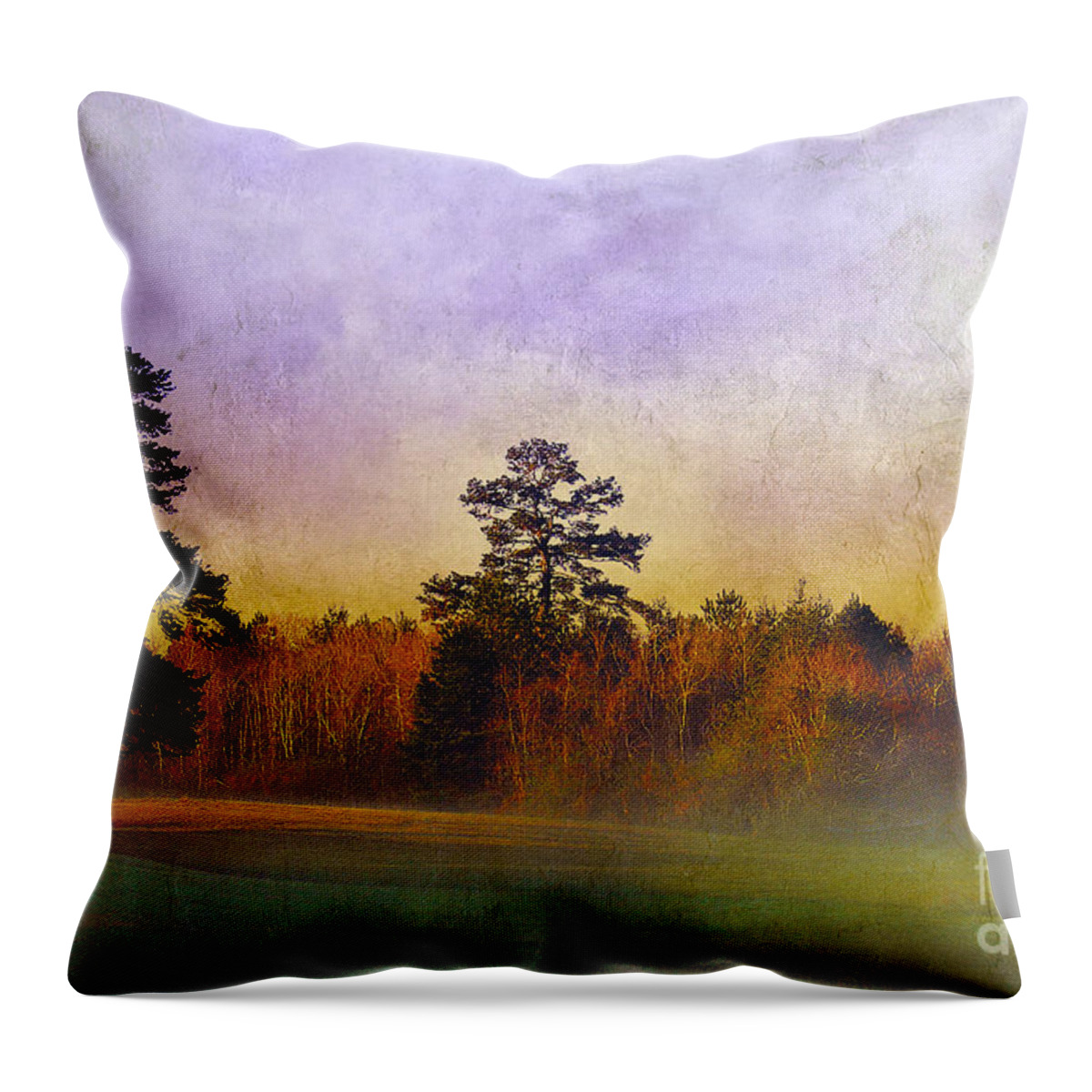 Mist Throw Pillow featuring the photograph Autumn Morning Mist by Judi Bagwell