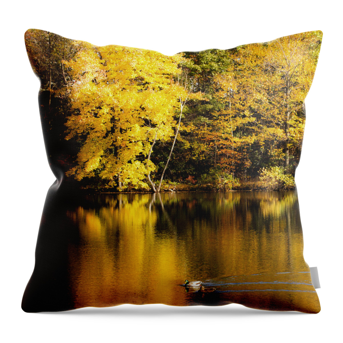 Autumn Throw Pillow featuring the photograph Autumn Pond by Leslie Leda