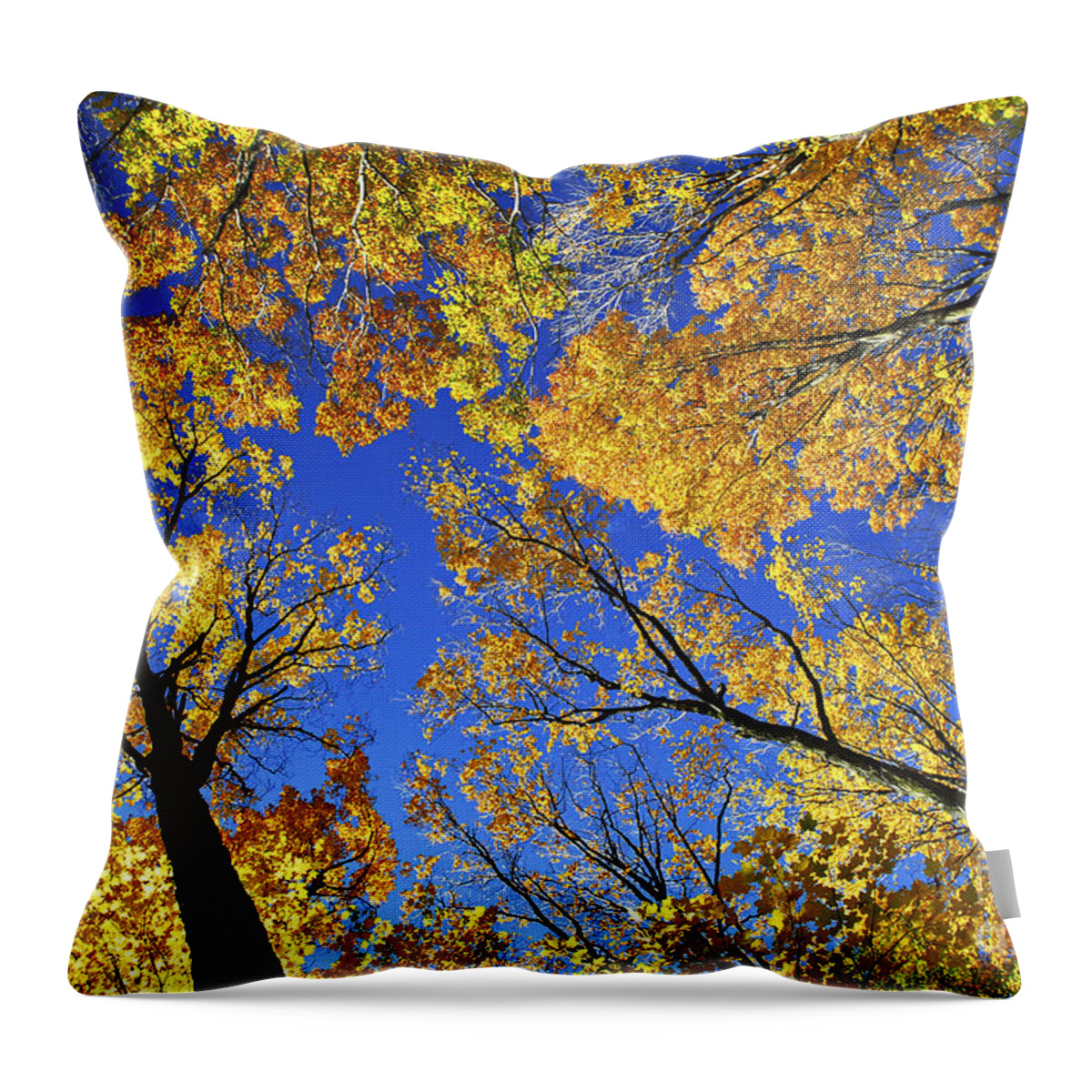 Treetops Throw Pillow featuring the photograph Autumn treetops by Elena Elisseeva