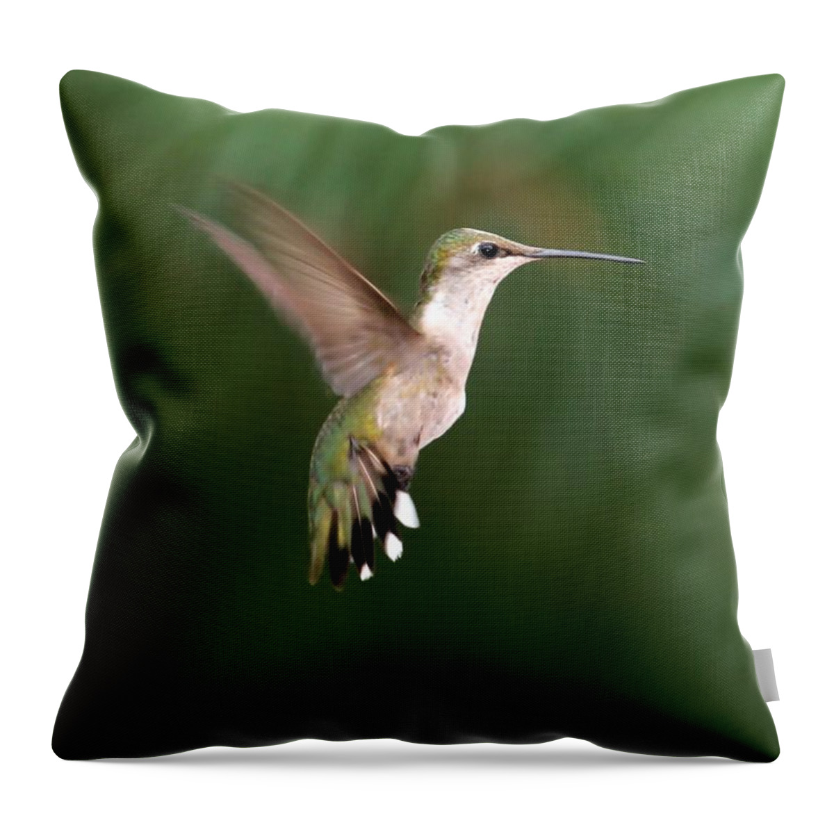 Hummer Throw Pillow featuring the photograph Awesome Hummingbird by Sabrina L Ryan