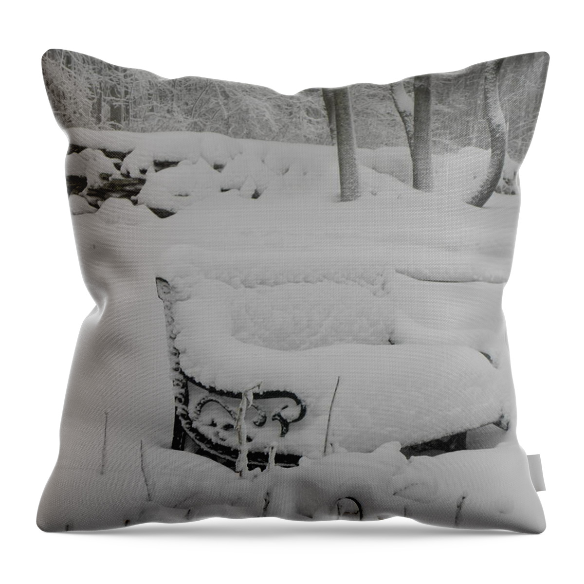Snow Throw Pillow featuring the photograph Baby Its Cold Outside by Kim Galluzzo