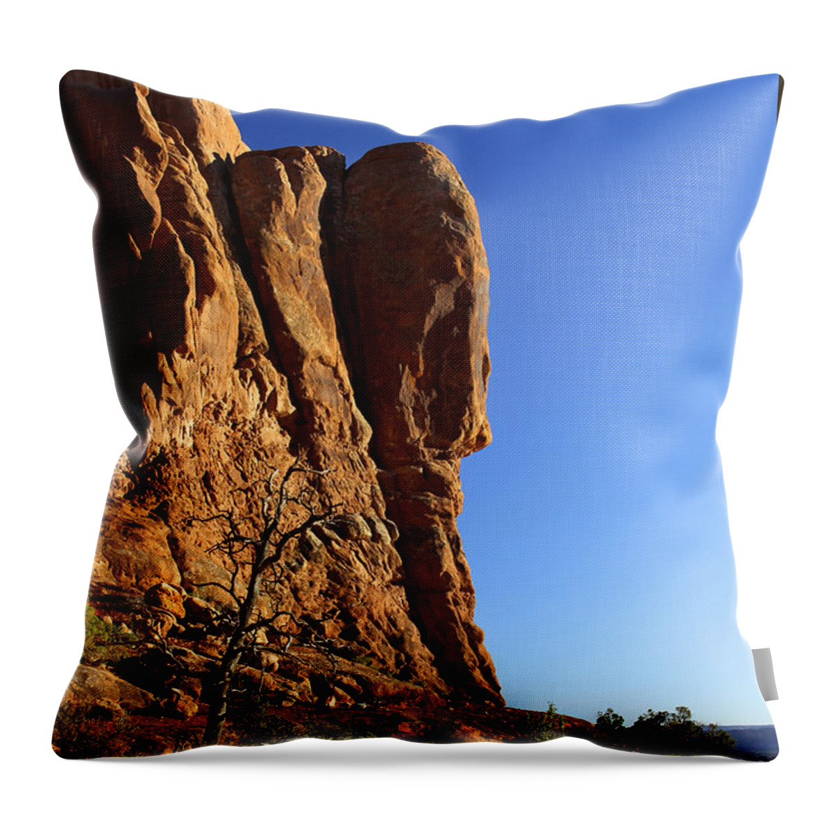 Arches National Park Throw Pillow featuring the photograph Backside Beauty in Utah by Mike McGlothlen