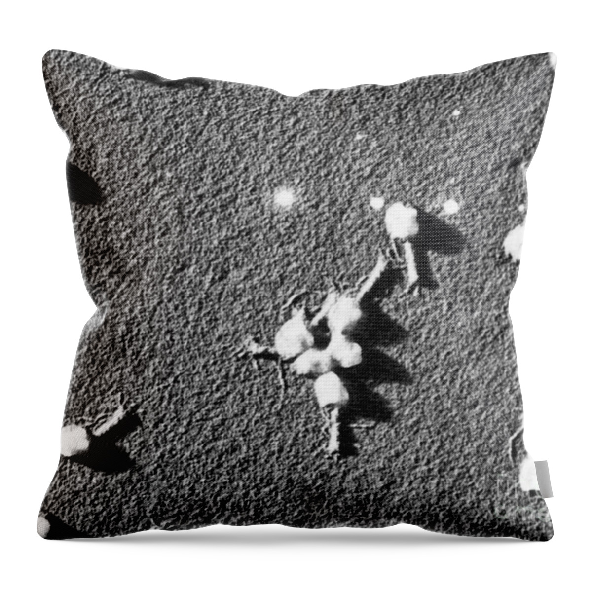 Medical Throw Pillow featuring the photograph Bacteriophage T4 by Omikron