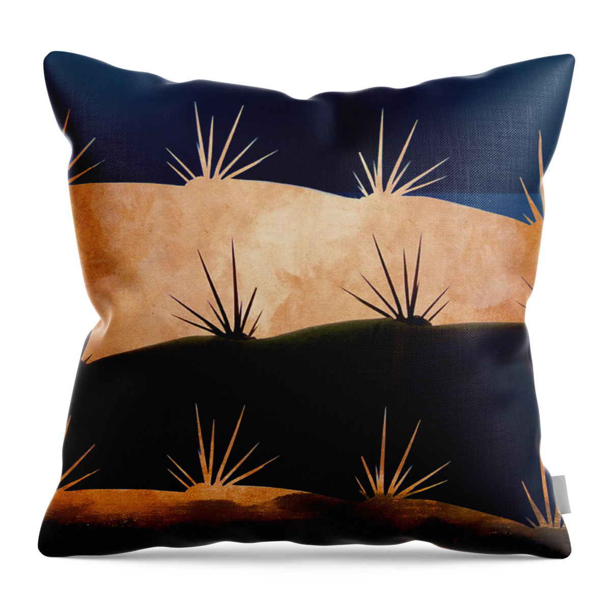 Baja Throw Pillow featuring the photograph Baja Landscape Number 1 by Carol Leigh