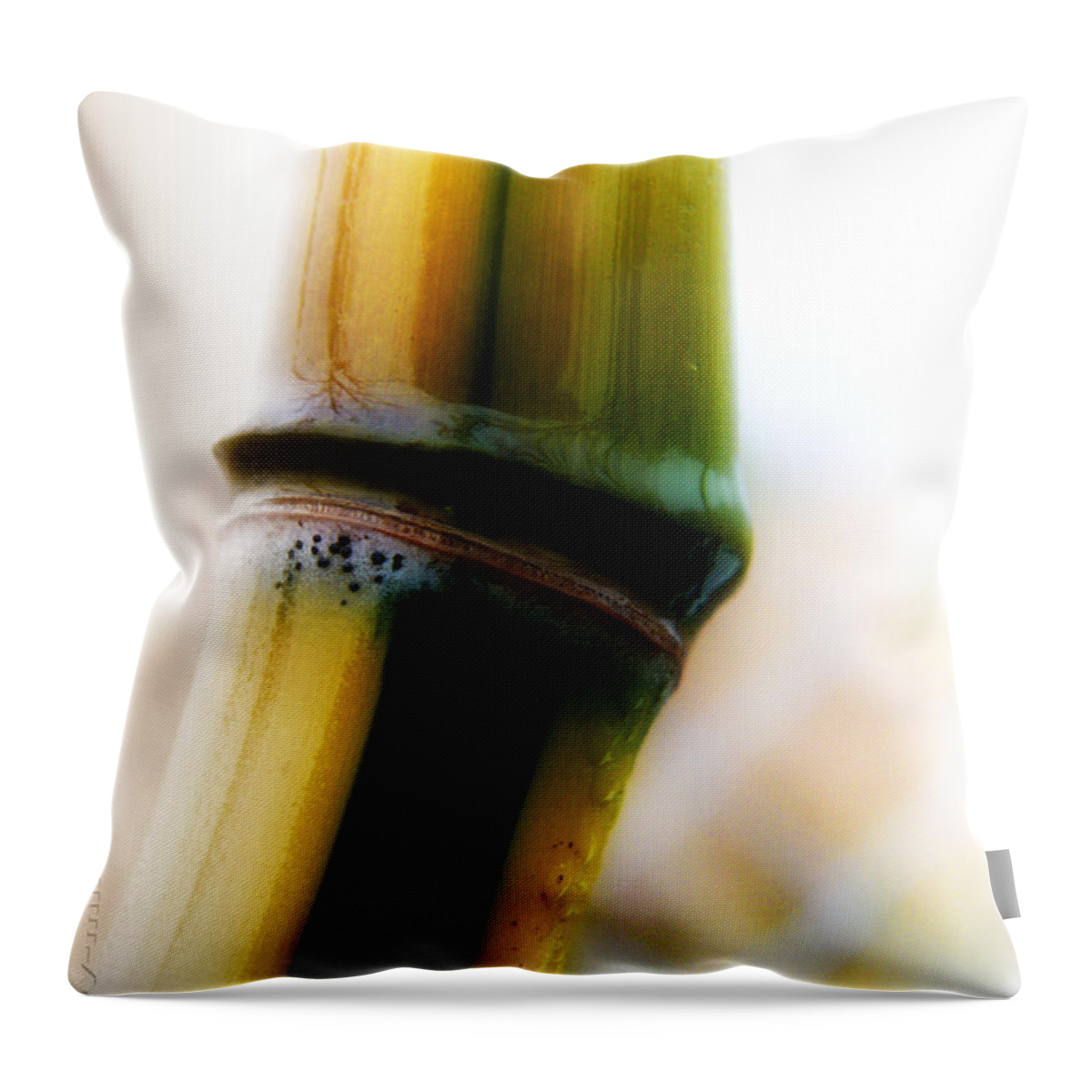 Bamboo Throw Pillow featuring the photograph Bamboo by Mimulux Patricia No