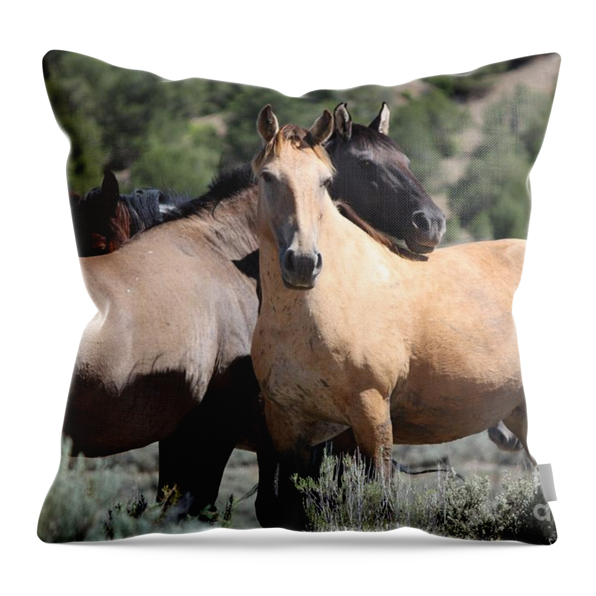 Horses Throw Pillow featuring the photograph Band of Friends - Monero Mustangs Sanctuary by Veronica Batterson