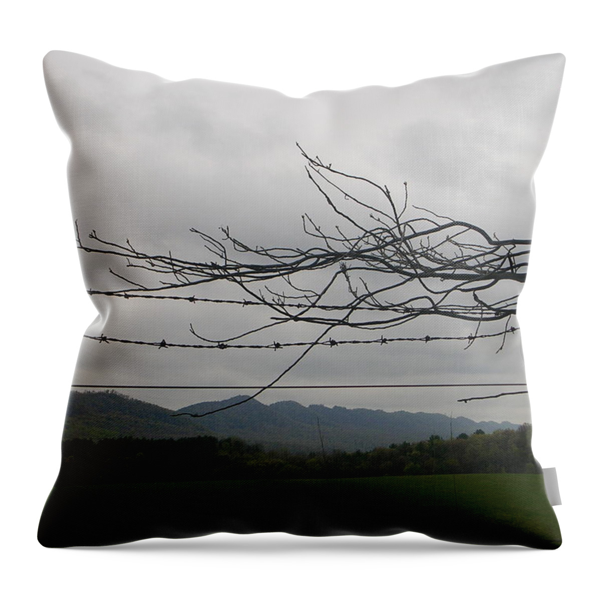 Landscape Throw Pillow featuring the photograph Barbed Wire Promenade by Jack Harries