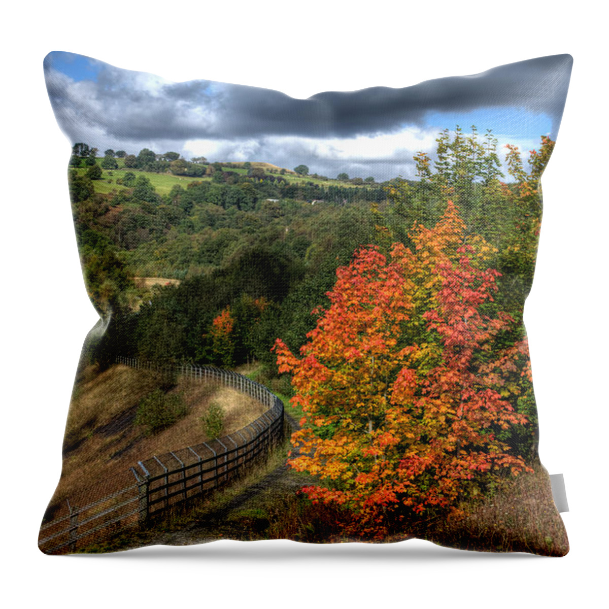 Bargoed Woodland Park Throw Pillow featuring the photograph Bargoed Woodland Park by Steve Purnell