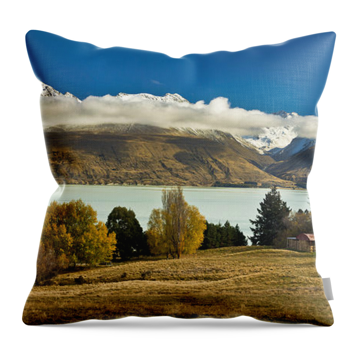 00462436 Throw Pillow featuring the photograph Barn Near Lake Pukaki And Ben Ohau by Colin Monteath