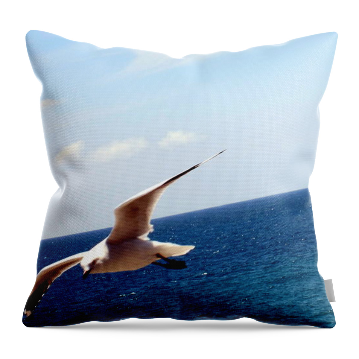 Flight Throw Pillow featuring the photograph Be Free by Roberto Gagliardi