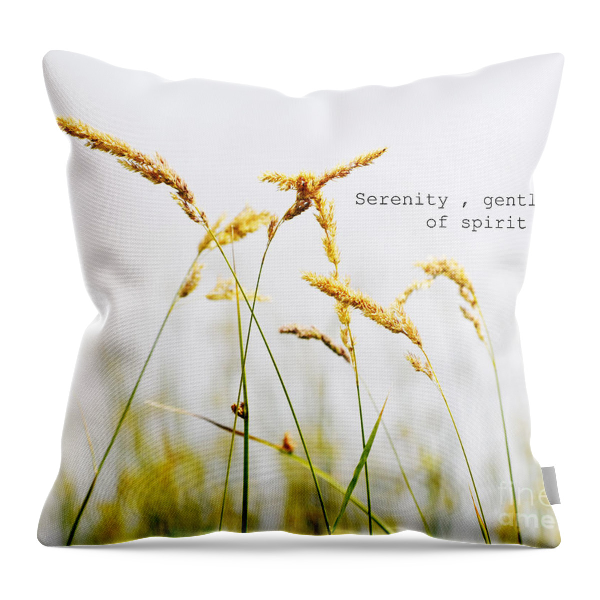 Beach Grass Throw Pillow featuring the photograph Beach Grass .Serenity. by Traci Cottingham